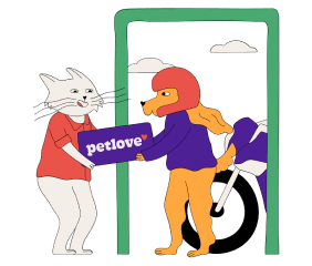 Várias opções de entrega